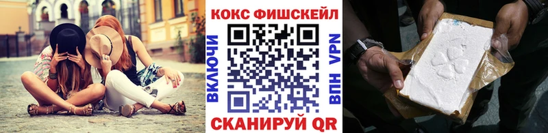 Cocaine FishScale  продажа наркотиков  Бор 