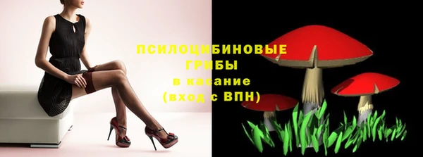 стаф Балахна