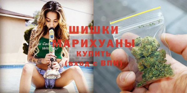 стаф Балахна