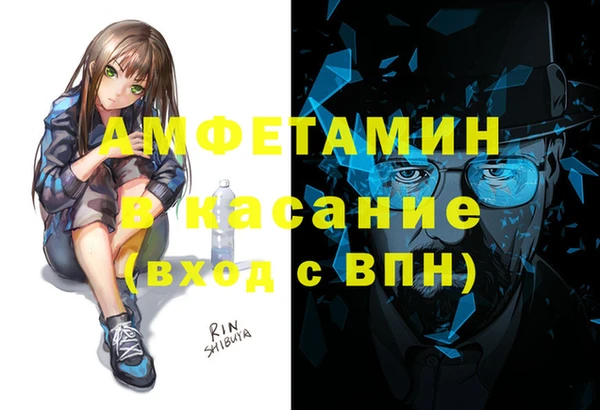 индика Гусев