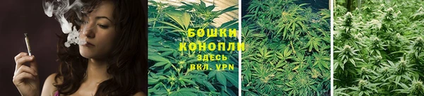 сатива Балабаново
