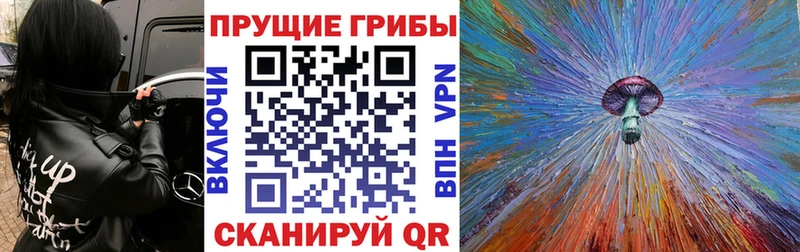 Галлюциногенные грибы Cubensis  нарко площадка состав  Бор 