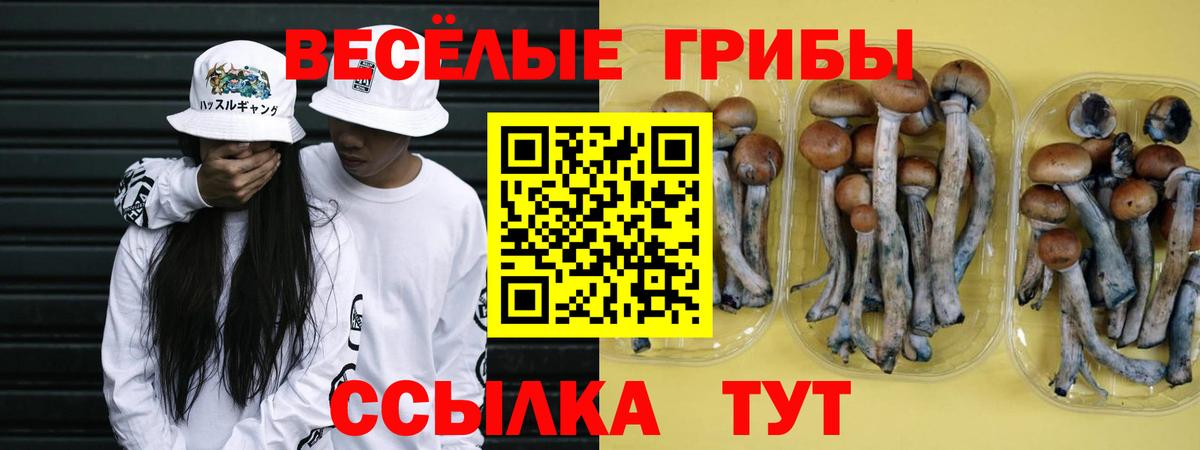Галлюциногенные грибы Psilocybine cubensis  Вход с VPN  Бор 
