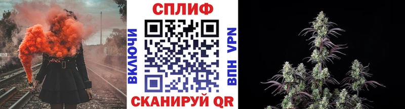 Бошки Шишки конопля  Бор 